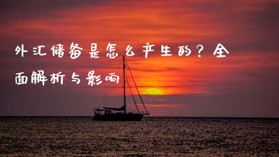 外汇储备是怎么产生的？全面解析与影响_https://cj006.lansai.wang_金融监管_第1张