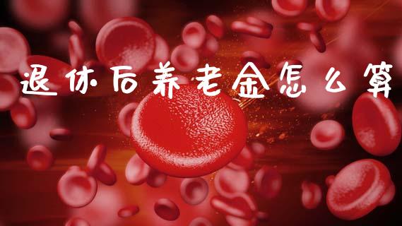 退休后养老金怎么算_https://cj006.lansai.wang_金融监管_第1张