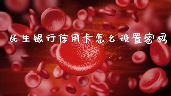民生银行信用卡怎么设置密码_https://cj006.lansai.wang_外汇交易_第1张