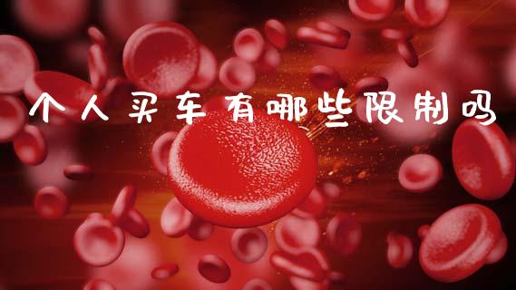 个人买车有哪些限制吗_https://cj006.lansai.wang_全球市场_第1张