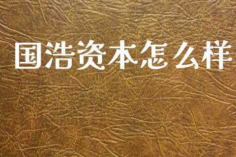 国浩资本怎么样_https://cj006.lansai.wang_债券资讯_第1张