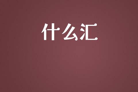 什么汇_https://cj006.lansai.wang_外汇交易_第1张