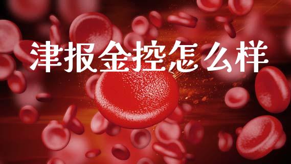 津报金控怎么样_https://cj006.lansai.wang_期货开户_第1张