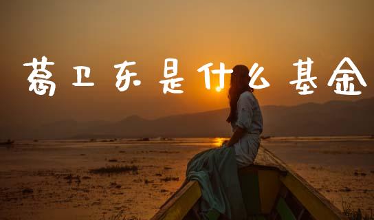葛卫东是什么基金_https://cj006.lansai.wang_金融监管_第1张
