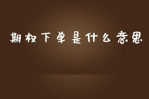 期权下单是什么意思_https://cj006.lansai.wang_财经新闻_第1张