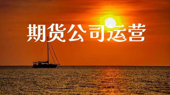期货公司运营_https://cj006.lansai.wang_金融监管_第1张
