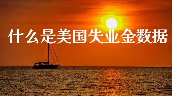 什么是美国失业金数据_https://cj006.lansai.wang_全球市场_第1张