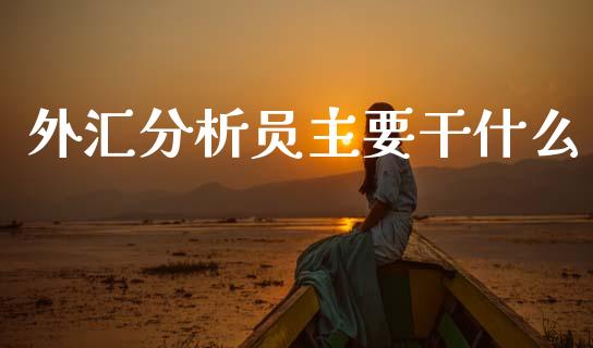 外汇分析员主要干什么_https://cj006.lansai.wang_外汇交易_第1张