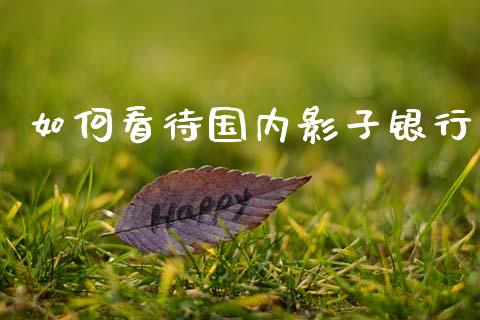 如何看待国内影子银行_https://cj006.lansai.wang_外汇交易_第1张