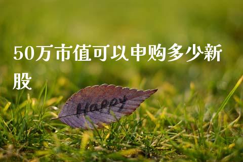 50万市值可以申购多少新股_https://cj006.lansai.wang_全球市场_第1张