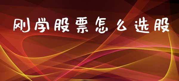刚学股票怎么选股_https://cj006.lansai.wang_期货开户_第1张