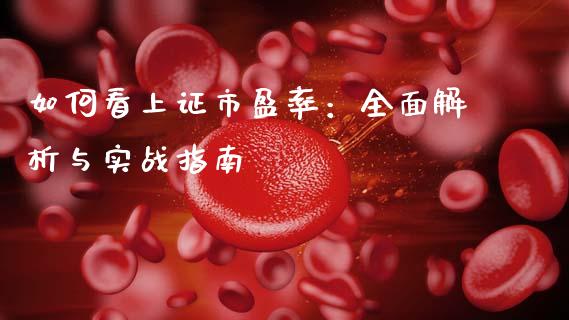 如何看上证市盈率：全面解析与实战指南_https://cj006.lansai.wang_财经新闻_第1张