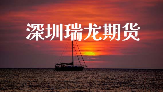深圳瑞龙期货_https://cj006.lansai.wang_债券资讯_第1张