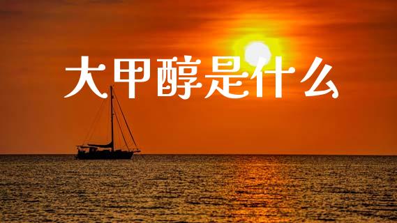 大甲醇是什么_https://cj006.lansai.wang_债券资讯_第1张