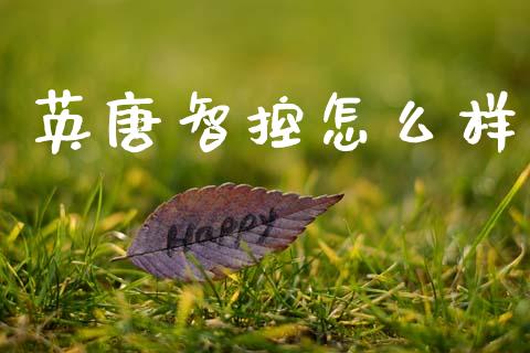 英唐智控怎么样_https://cj006.lansai.wang_财经新闻_第1张