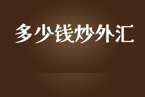 多少钱炒外汇_https://cj006.lansai.wang_金融监管_第1张