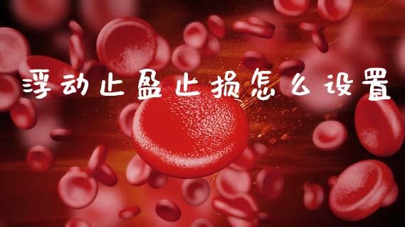 浮动止盈止损怎么设置_https://cj006.lansai.wang_债券资讯_第1张
