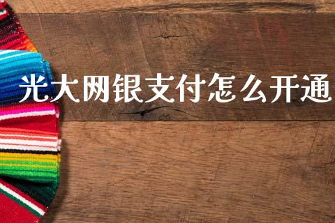 光大网银支付怎么开通_https://cj006.lansai.wang_金融监管_第1张