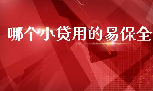 哪个小贷用的易保全_https://cj006.lansai.wang_财经新闻_第1张