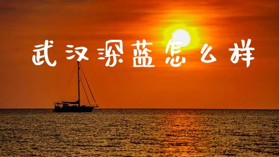 武汉深蓝怎么样_https://cj006.lansai.wang_全球市场_第1张
