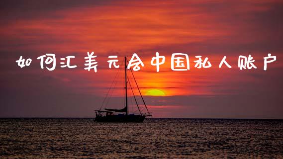 如何汇美元会中国私人账户_https://cj006.lansai.wang_期货开户_第1张