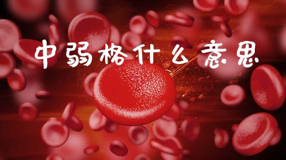 中弱格什么意思_https://cj006.lansai.wang_金融监管_第1张