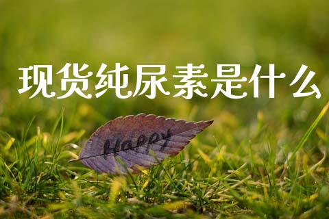 现货纯尿素是什么_https://cj006.lansai.wang_外汇交易_第1张