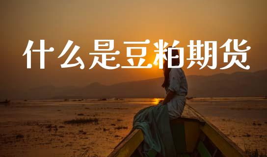 什么是豆粕期货_https://cj006.lansai.wang_外汇交易_第1张