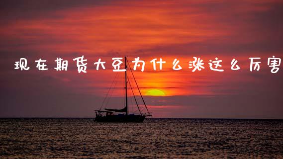 现在期货大豆为什么涨这么厉害_https://cj006.lansai.wang_全球市场_第1张