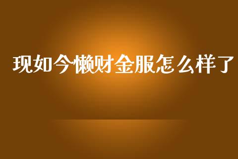 现如今懒财金服怎么样了_https://cj006.lansai.wang_金融监管_第1张