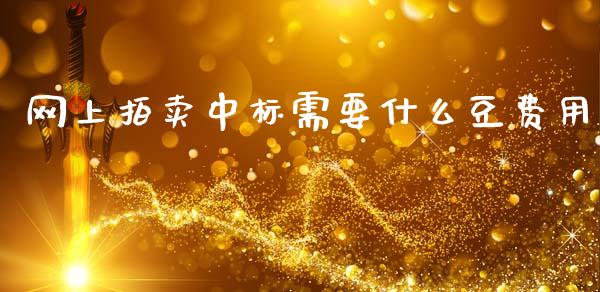 网上拍卖中标需要什么豆费用_https://cj006.lansai.wang_债券资讯_第1张