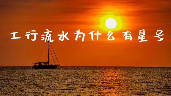工行流水为什么有星号_https://cj006.lansai.wang_全球市场_第1张