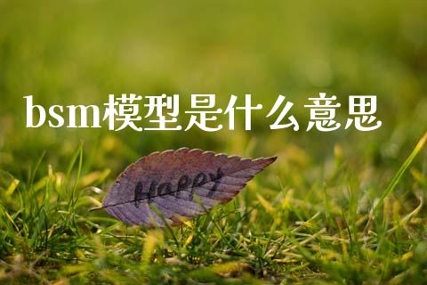 bsm模型是什么意思_https://cj006.lansai.wang_期货开户_第1张