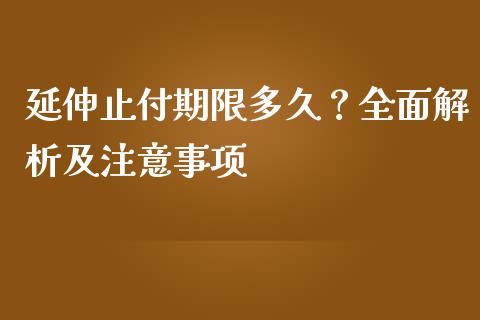 延伸止付期限多久？全面解析及注意事项_https://cj006.lansai.wang_外汇交易_第1张