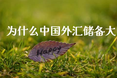为什么中国外汇储备大_https://cj006.lansai.wang_外汇交易_第1张