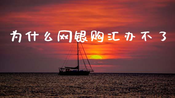 为什么网银购汇办不了_https://cj006.lansai.wang_全球市场_第1张