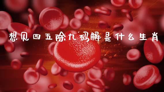 想见四五除九码解是什么生肖_https://cj006.lansai.wang_金融监管_第1张
