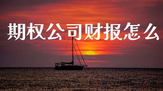 期权公司财报怎么_https://cj006.lansai.wang_全球市场_第1张