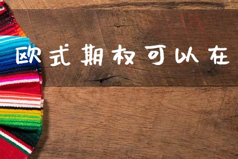 欧式期权可以在_https://cj006.lansai.wang_全球市场_第1张