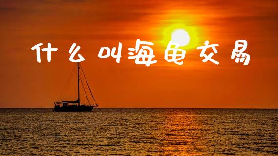 什么叫海龟交易_https://cj006.lansai.wang_全球市场_第1张