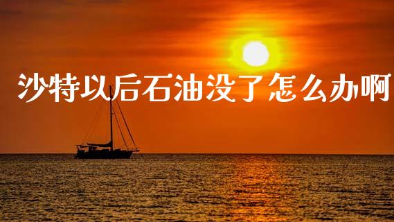 沙特以后石油没了怎么办啊_https://cj006.lansai.wang_债券资讯_第1张