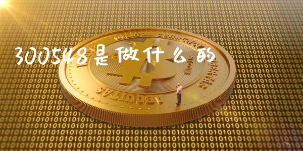300548是做什么的_https://cj006.lansai.wang_金融监管_第1张