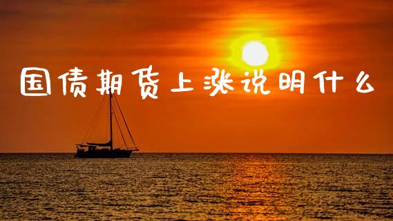国债期货上涨说明什么_https://cj006.lansai.wang_金融监管_第1张