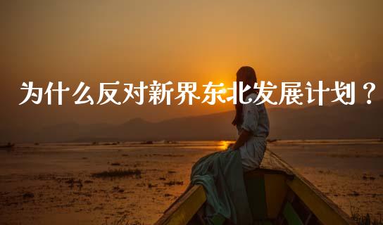 为什么反对新界东北发展计划？_https://cj006.lansai.wang_财经新闻_第1张