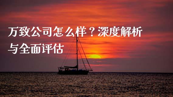 万致公司怎么样？深度解析与全面评估_https://cj006.lansai.wang_全球市场_第1张