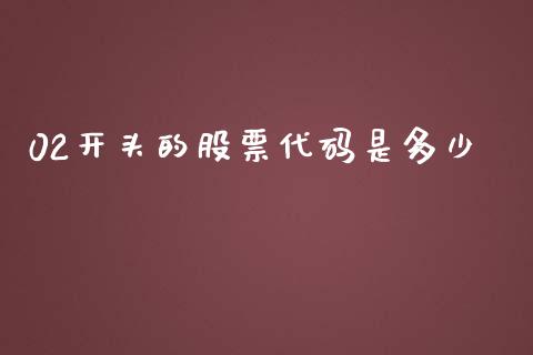 02开头的股票代码是多少_https://cj006.lansai.wang_财经新闻_第1张