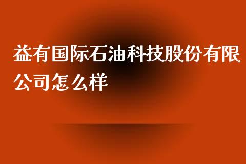 益有国际石油科技股份有限公司怎么样_https://cj006.lansai.wang_金融监管_第1张