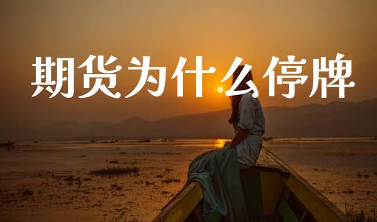 期货为什么停牌_https://cj006.lansai.wang_外汇交易_第1张