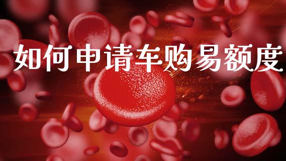 如何申请车购易额度_https://cj006.lansai.wang_全球市场_第1张