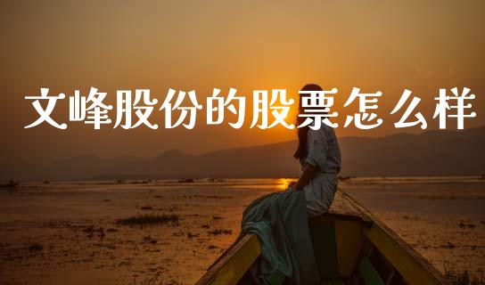 文峰股份的股票怎么样_https://cj006.lansai.wang_债券资讯_第1张